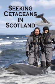  Seeking Cetaceans In Scotland Poster