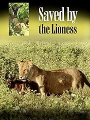  Saved by the Lioness Poster