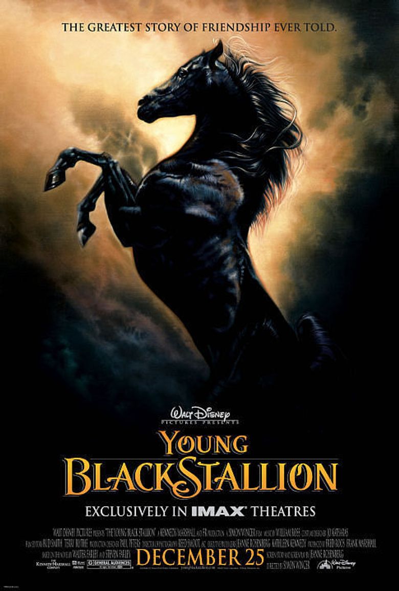 The Young Black Stallion Poster