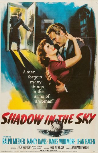  Shadow in the Sky Poster