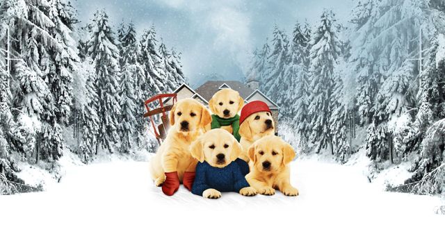 Golden Winter Backdrop