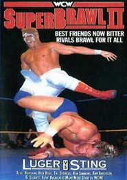  WCW SuperBrawl II Poster