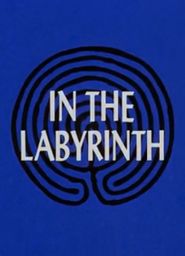  In the Labyrinth Poster