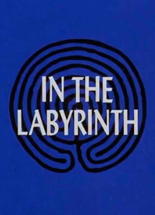 In the Labyrinth Poster