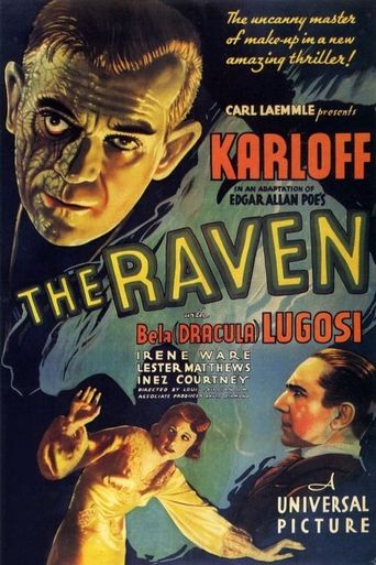 New releases The Raven Poster