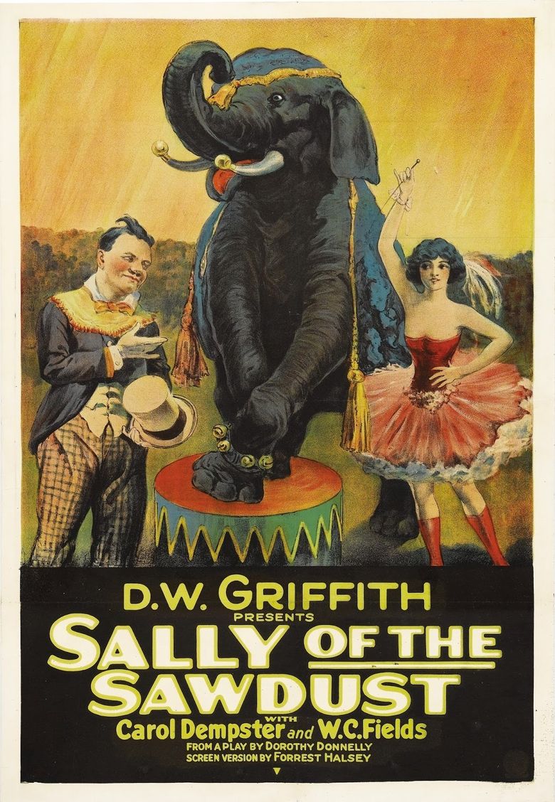 Sally of the Sawdust Poster