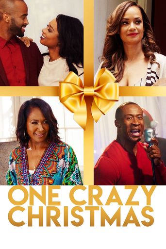  One Crazy Christmas Poster