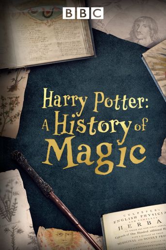  Harry Potter: A History of Magic Poster