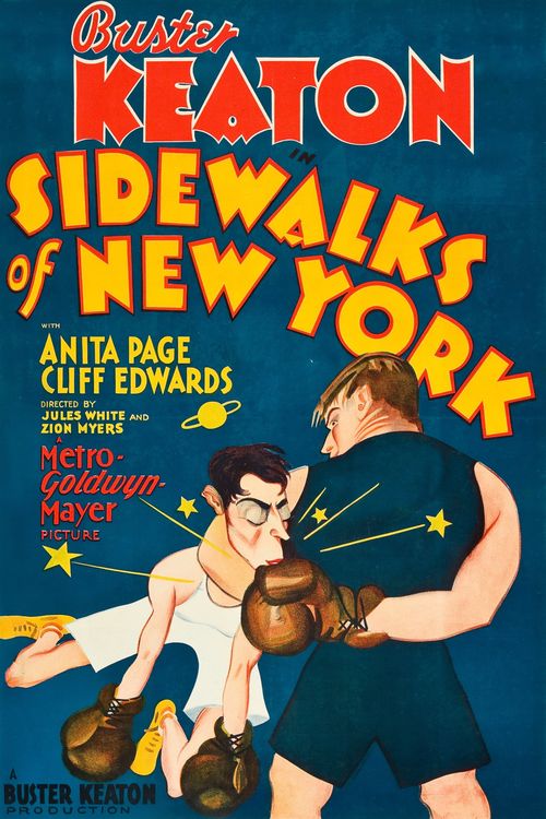 Sidewalks of New York Poster