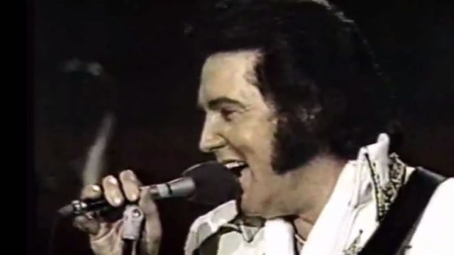 Elvis in Concert Backdrop