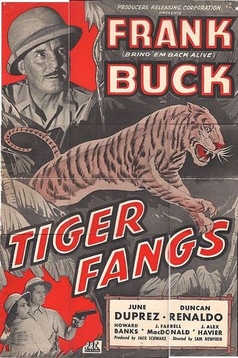  Tiger Fangs Poster