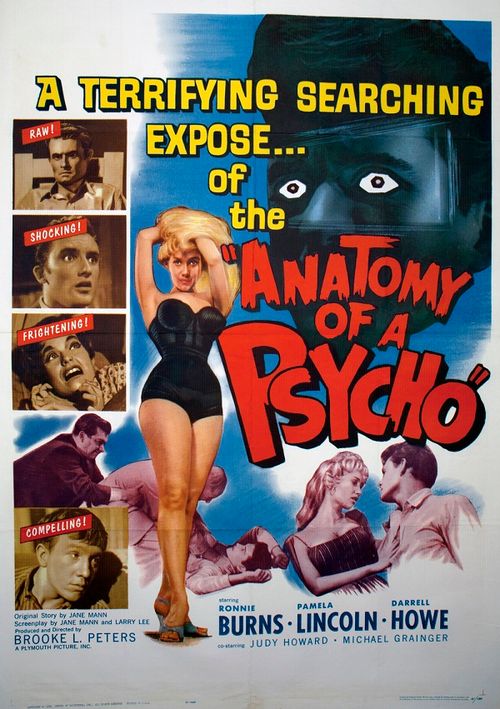 Anatomy of a Psycho Poster