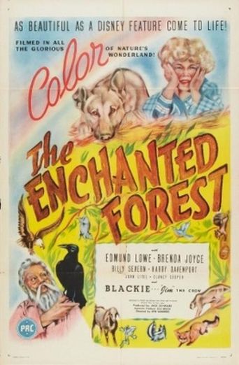  The Enchanted Forest Poster