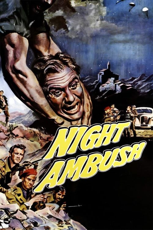 Night Ambush Poster