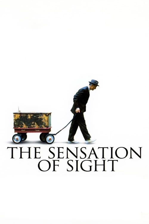 The Sensation of Sight Poster