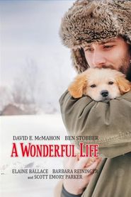  A Wonderful Life Poster