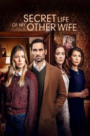  Secret Life of my Other Wife Poster