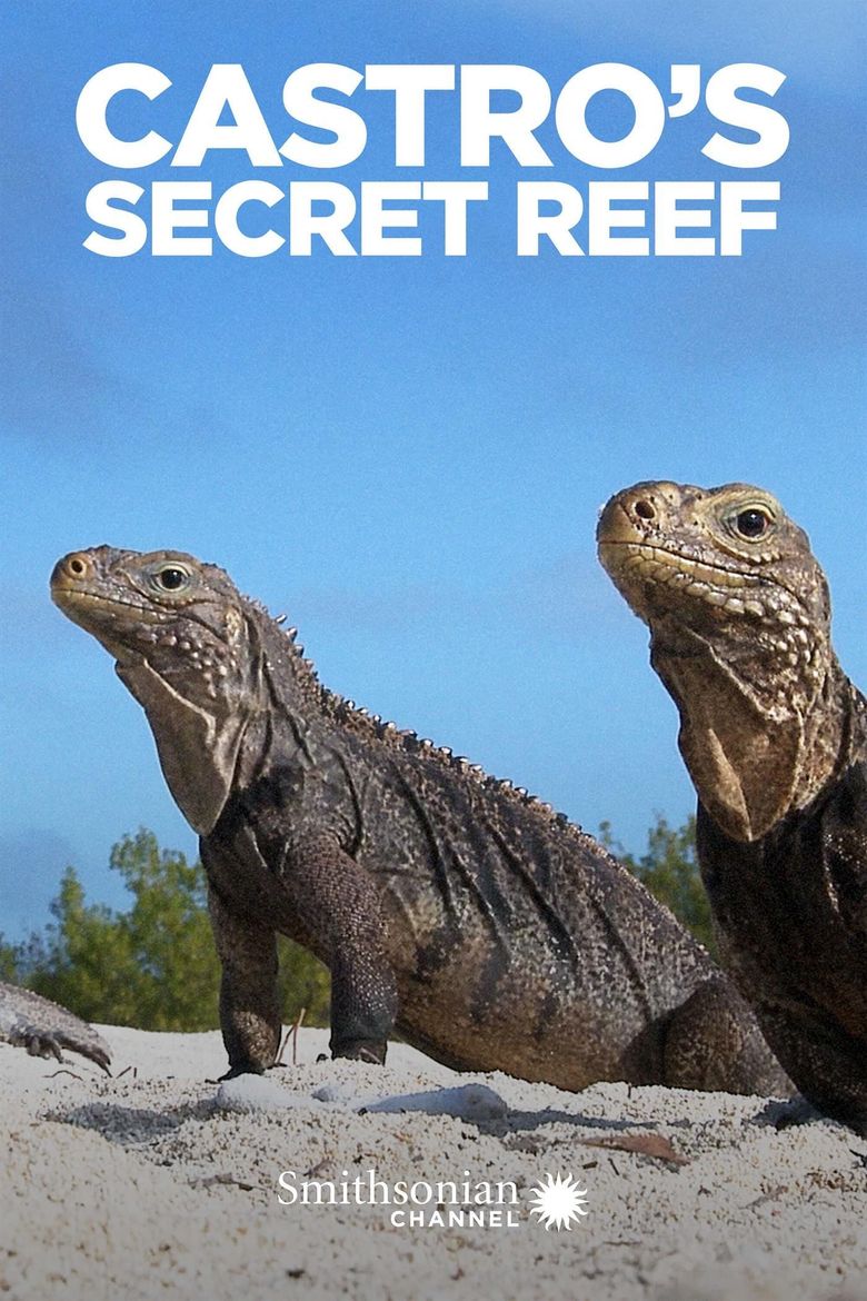 Castro's Secret Reef Poster