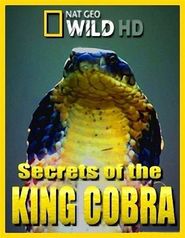  Secrets of the King Cobra Poster