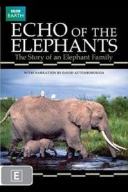  Echo of the Elephants, The Story of an Elephant Family Poster