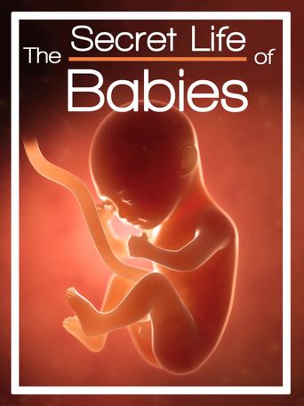 The Secret Life of Babies Poster
