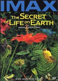  The Secret of Life on Earth Poster
