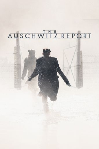  The Auschwitz Report Poster