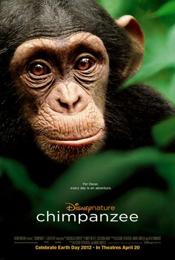  Chimpanzee Poster