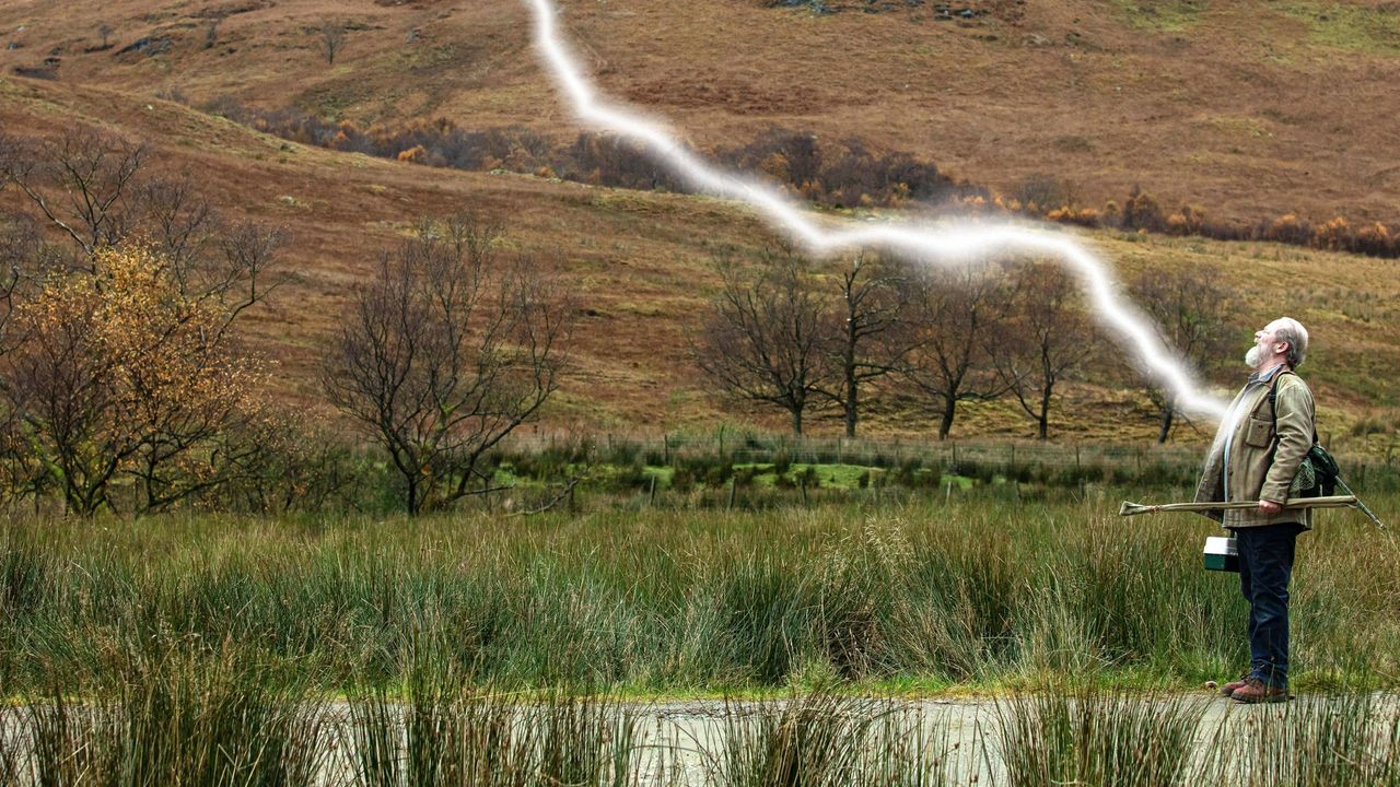 Don vs Lightning (2021) Where to Watch and Stream Online Reelgood