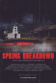  Spring Breakdown Poster