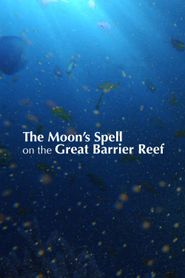  The Moon's Spell On The Great Barrier Reef Poster