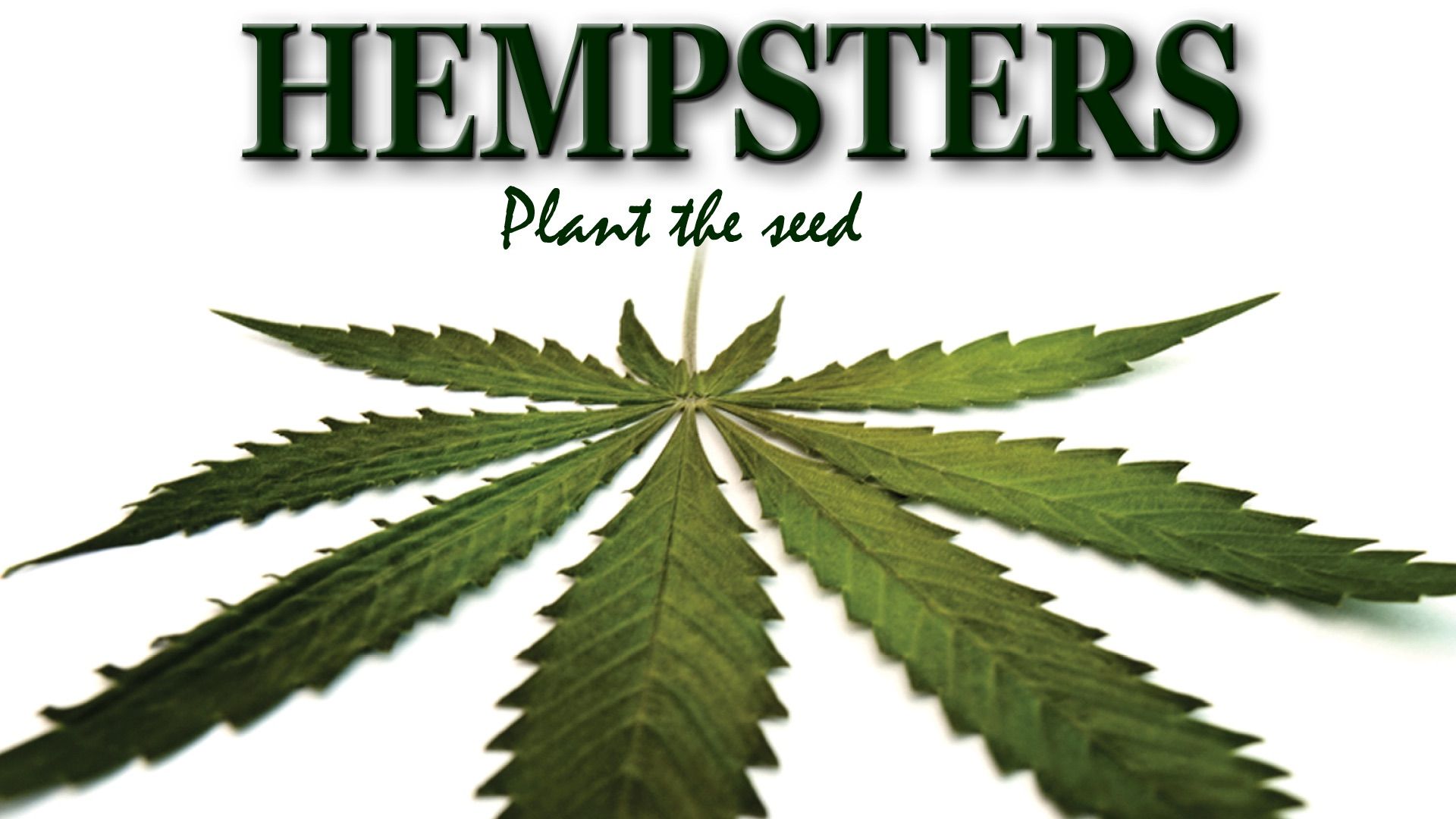 Hempsters: Plant the Seed Backdrop