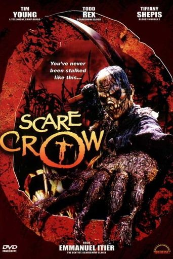  Scarecrow Poster