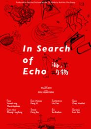  In Search of Echo Poster