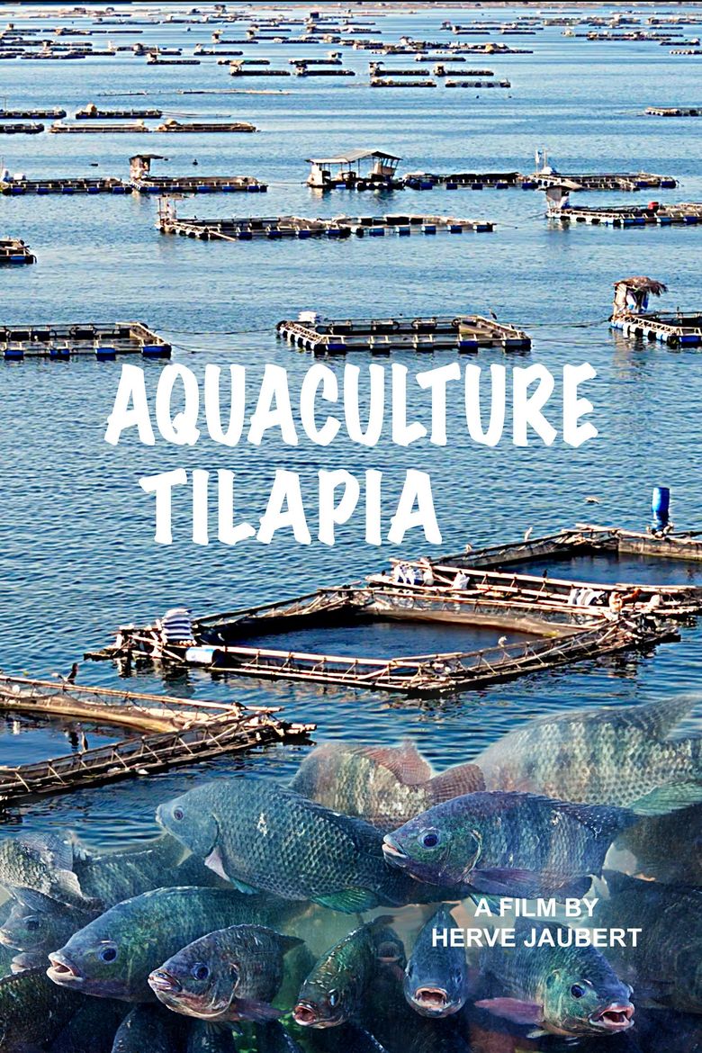 Aquaculture Tilapia