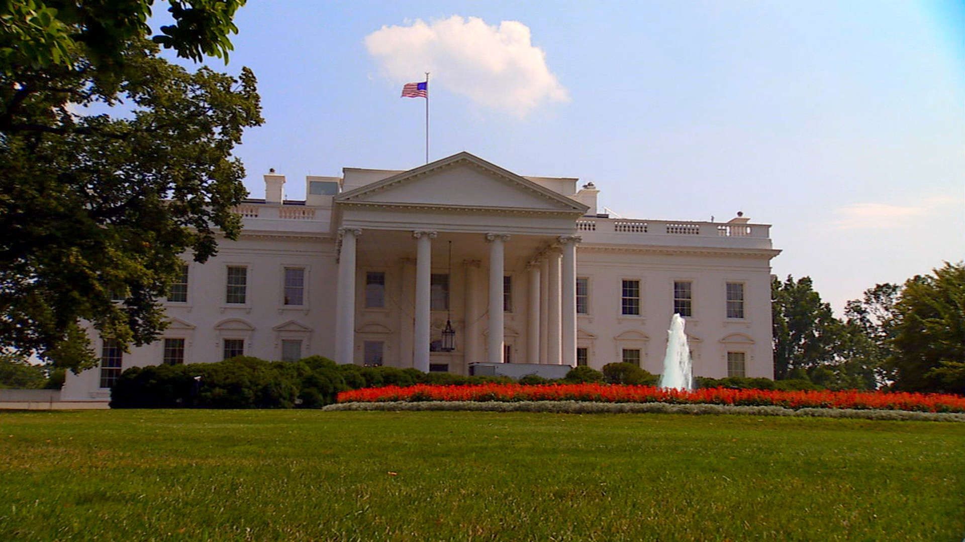 White House Revealed Backdrop