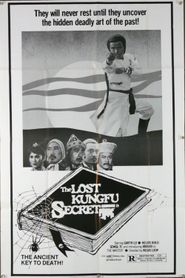  The Lost Kung Fu Secrets Poster