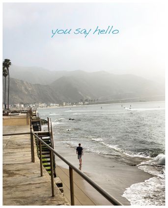  You Say Hello Poster