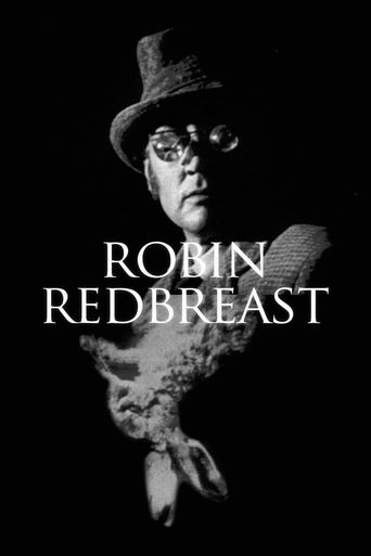  Robin Redbreast Poster