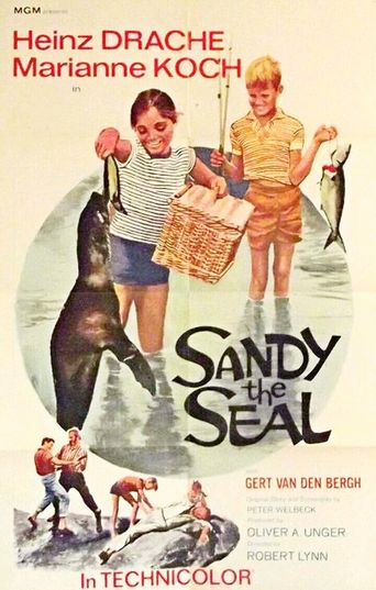 Sandy the Seal Poster
