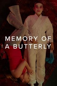  Memory of a Butterfly Poster