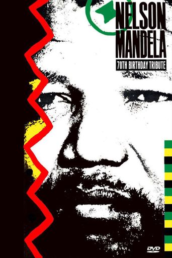  Nelson Mandela 70th Birthday Tribute Poster