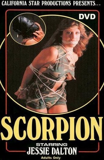  Scorpion Poster