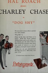 Dog Shy Poster
