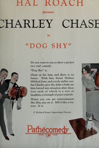  Dog Shy Poster