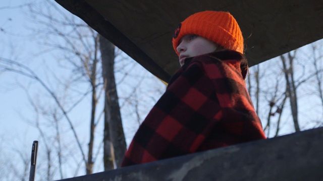 Cold November Backdrop