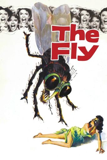  The Fly Poster