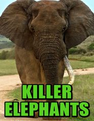  Killer Elephants Poster