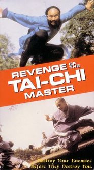  Revenge of the Tai Chi Master Poster
