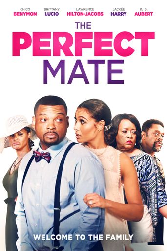  The Perfect Mate Poster